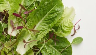 Lettuce_and_microgreens