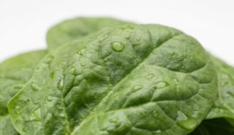 Spinach Benefits for Menopause Fatigue